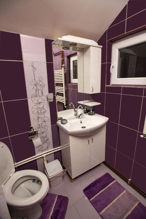 Apartmani Sp Jovanovic Crni Vrh المظهر الخارجي الصورة